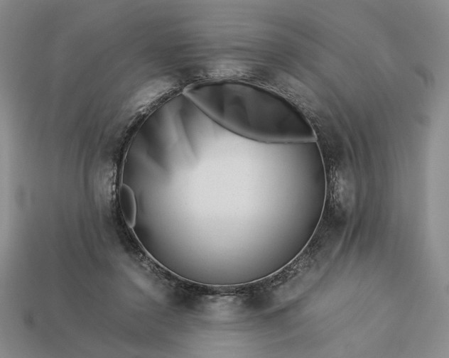 X0000113370356200909291056