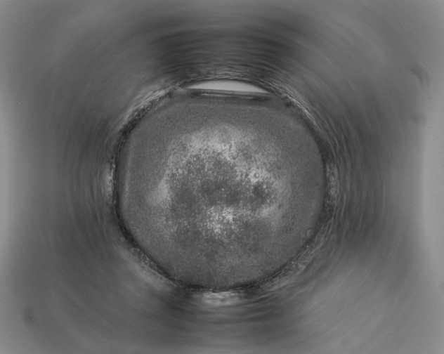 X0000113370357200909291056