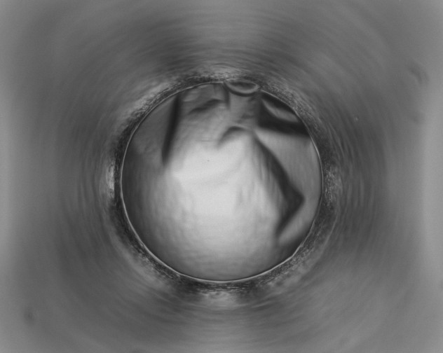 X0000113370358200909291056