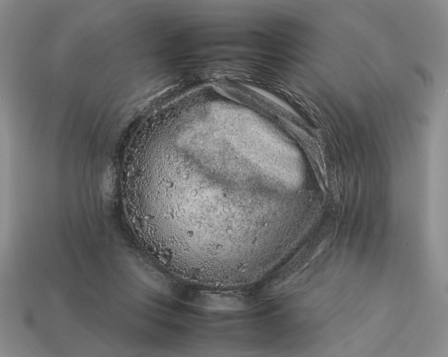 X0000113370359200909291056