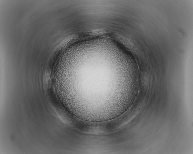 X0000113370360200909291056