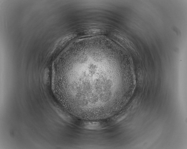 X0000113370361200909291056