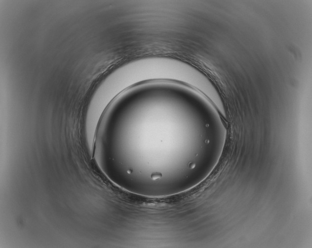 X0000113370362200909291056