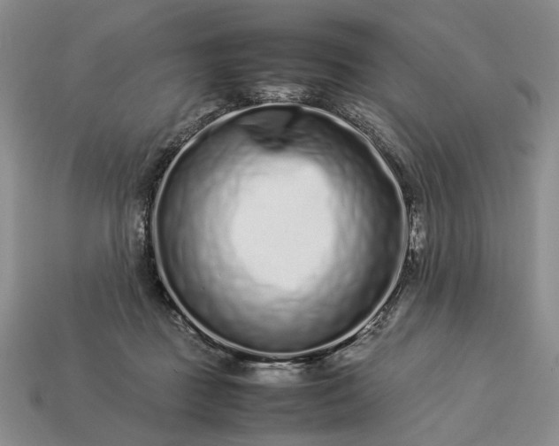 X0000113370363200909291056