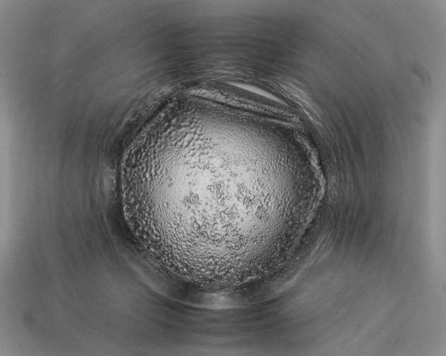 X0000113370365200909291056