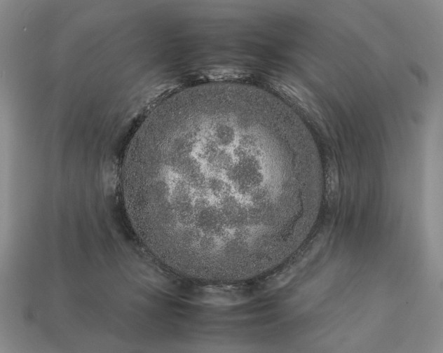 X0000113370367200909291056