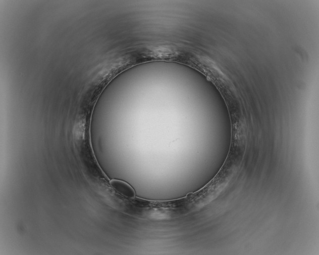 X0000113370368200909291056