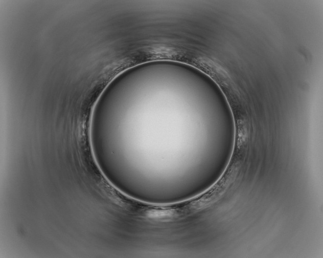 X0000113370369200909291056