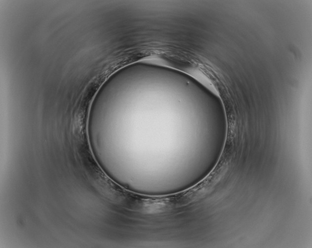 X0000113370373200909291056