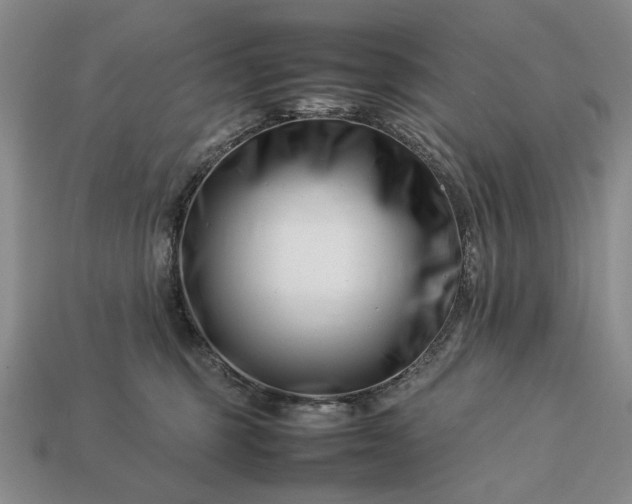 X0000113370375200909291056