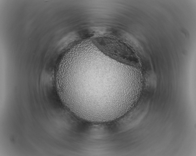 X0000113370376200909291056