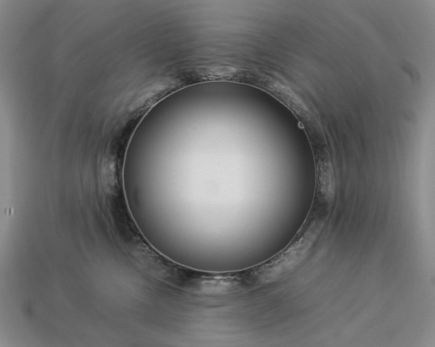 X0000113370378200909291056