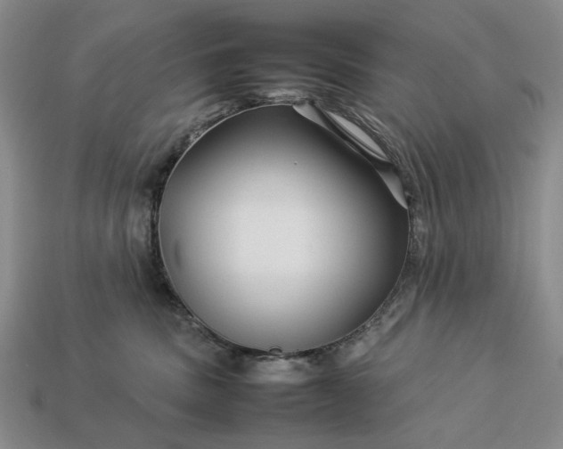 X0000113370379200909291056