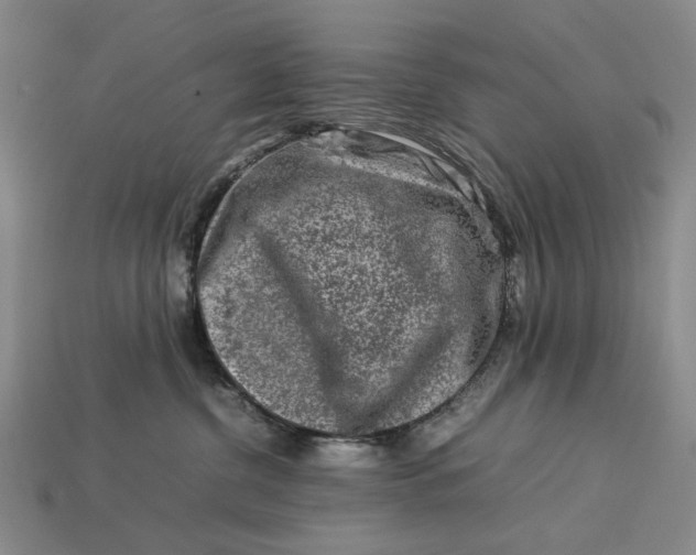 X0000113370380200909291056