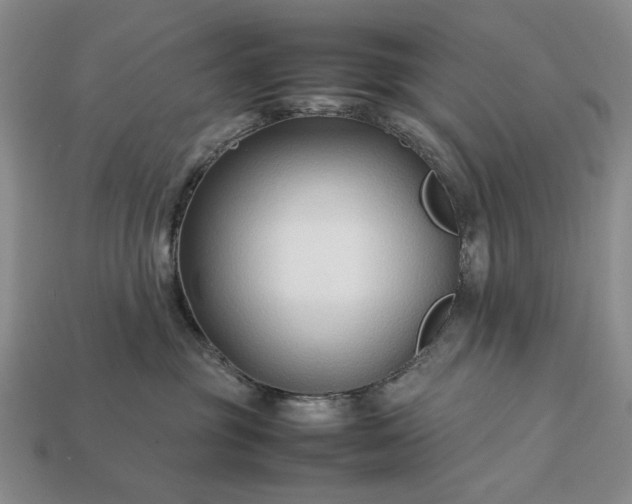 X0000113370381200909291056