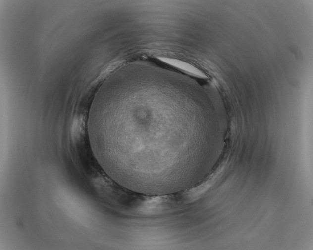 X0000113370382200909291056