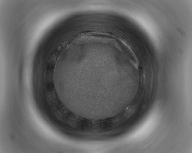 X0000113370383200909291056