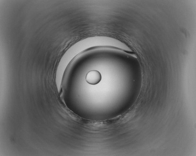 X0000113370384200909291056