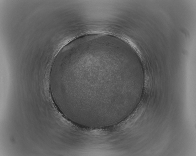 X0000113370385200909291056