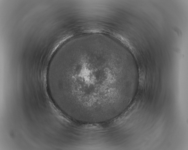 X0000113370386200909291056