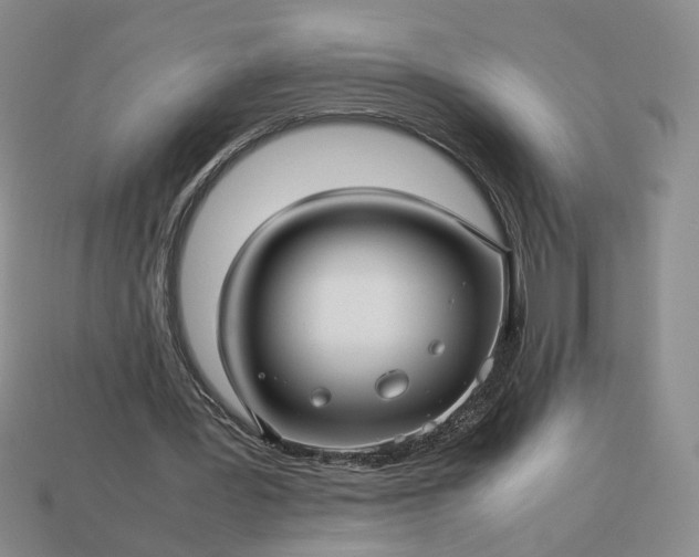 X0000113370387200909291056