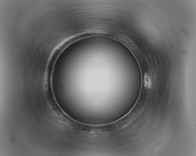 X0000113370388200909291056