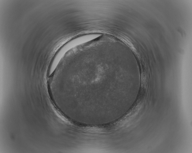 X0000113370389200909291056