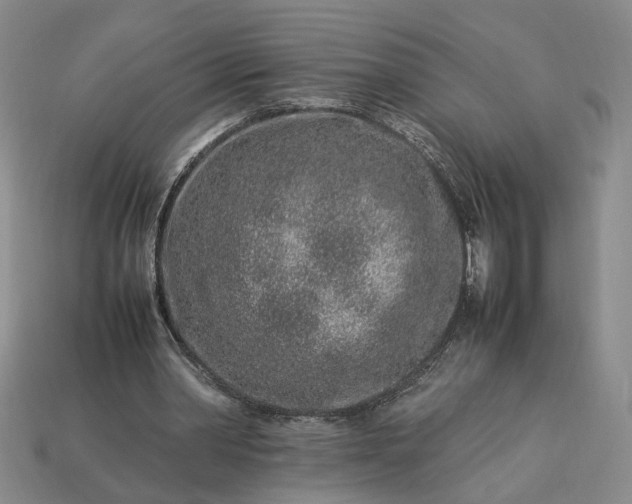 X0000113370390200909291056