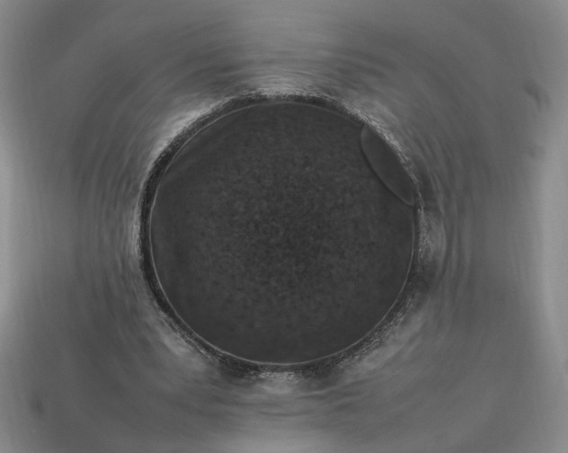 X0000113370391200909291056