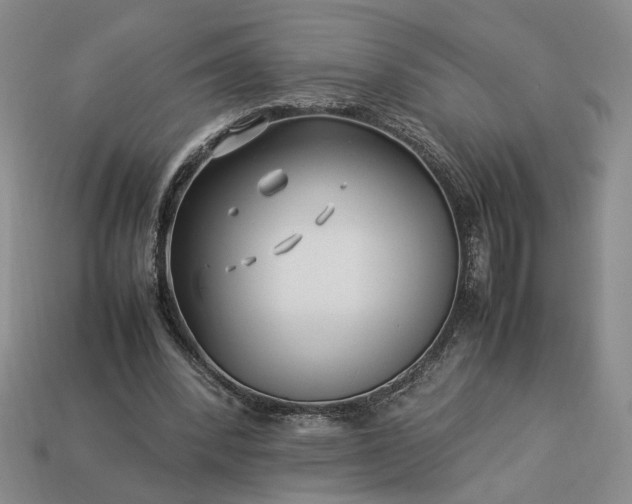 X0000113370392200909291056