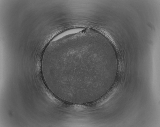 X0000113370393200909291056