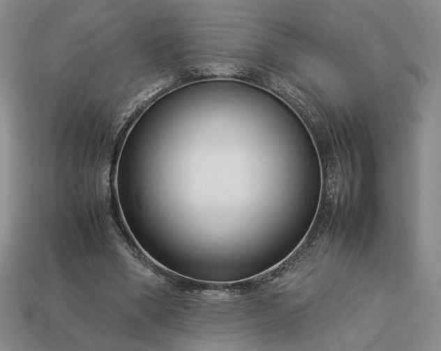 X0000113370394200909291056