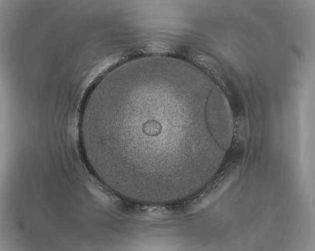 X0000113370395200909291056