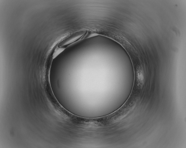 X0000113370396200909291055