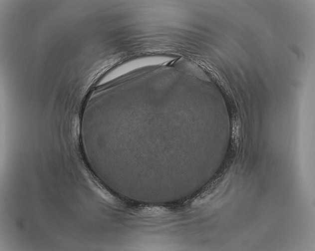 X0000113370397200909291055