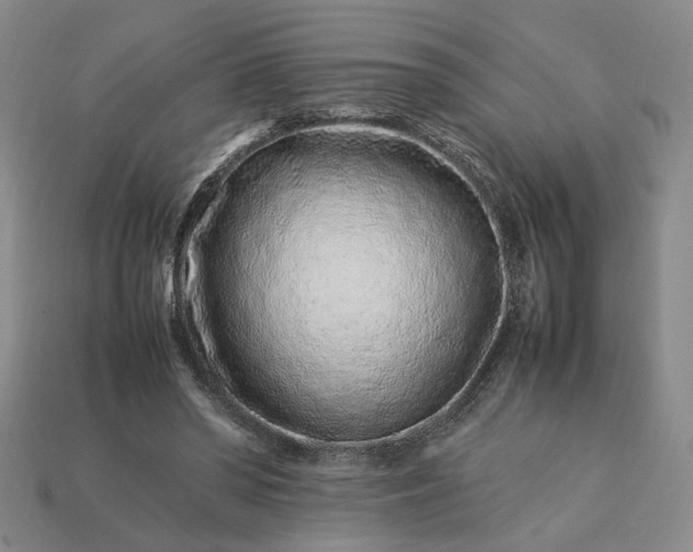 X0000113370398200909291055