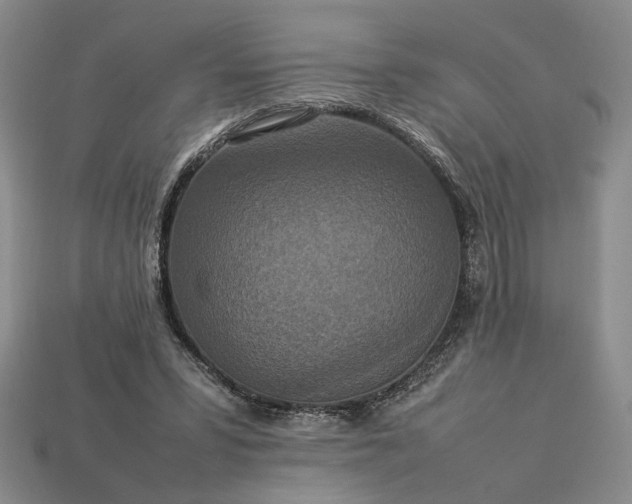 X0000113370399200909291055