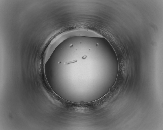 X0000113370400200909291055