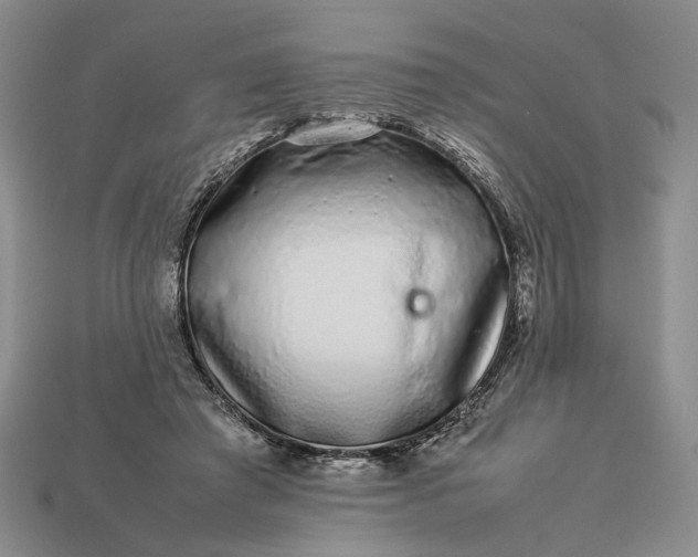 X0000113370401200909291055