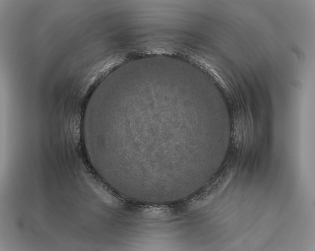 X0000113370402200909291055