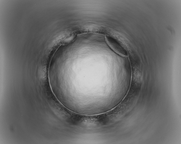 X0000113370403200909291055