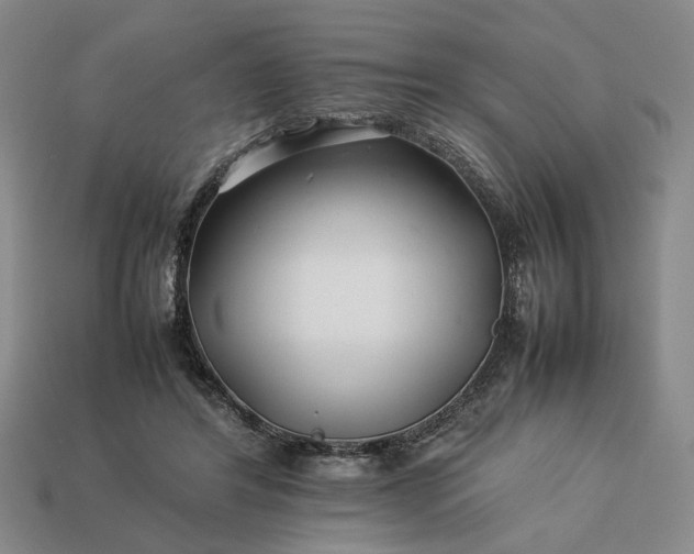 X0000113370404200909291055