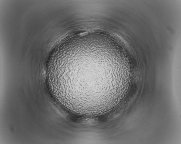 X0000113370405200909291055