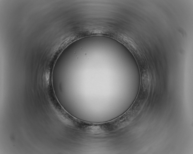 X0000113370406200909291055