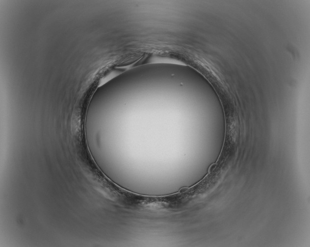 X0000113370407200909291055