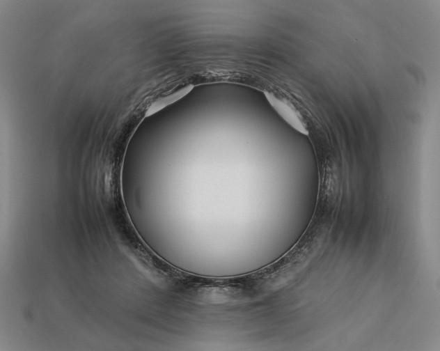 X0000113370408200909291055