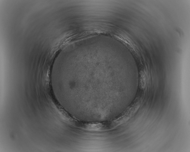 X0000113370410200909291055