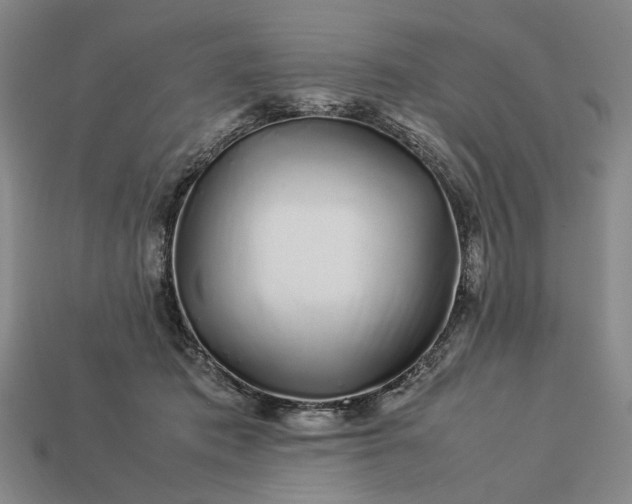 X0000113370413200909291055