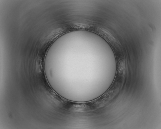 X0000113370414200909291055