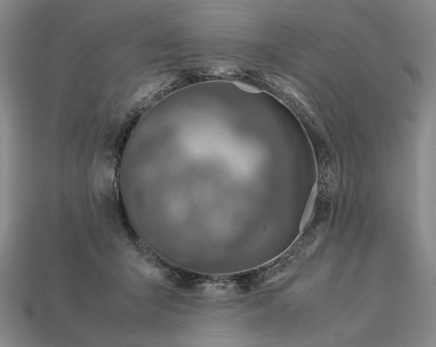 X0000113370415200909291055